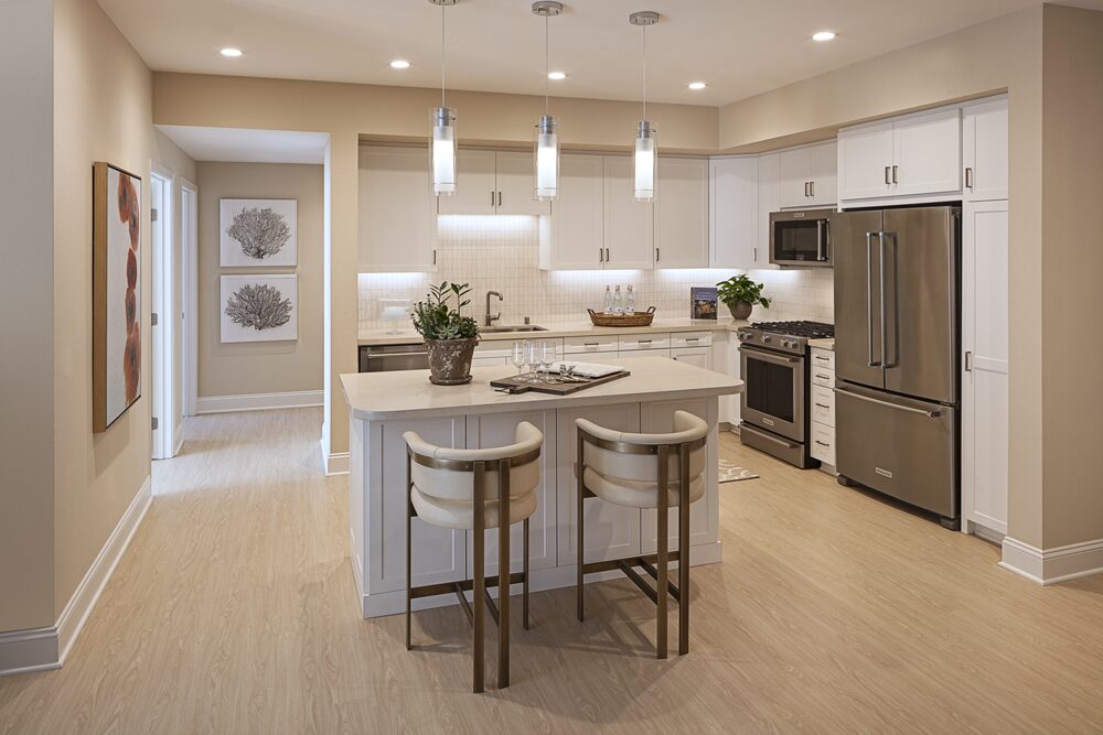 Luxurious apartment kitchen