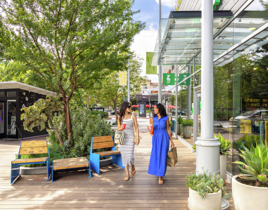 2 women shopping