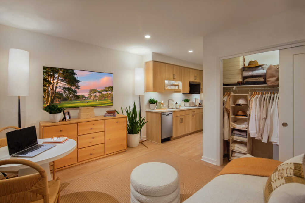Interior view of a studio apartment