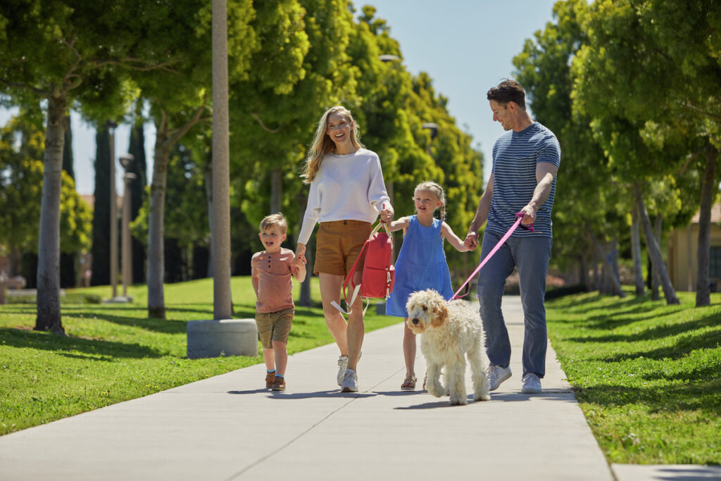 Family holding hands and walking the dog